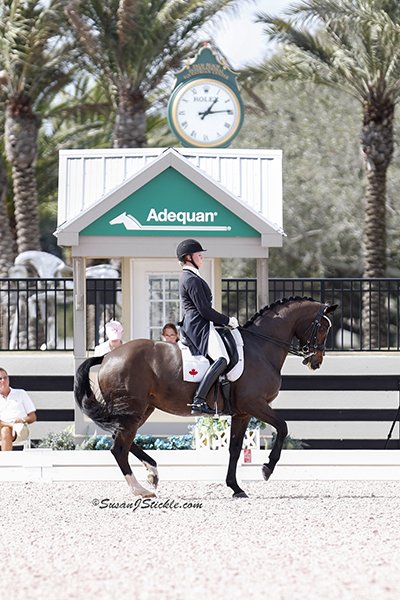 2014 01 12 MeganLane Caravella 1