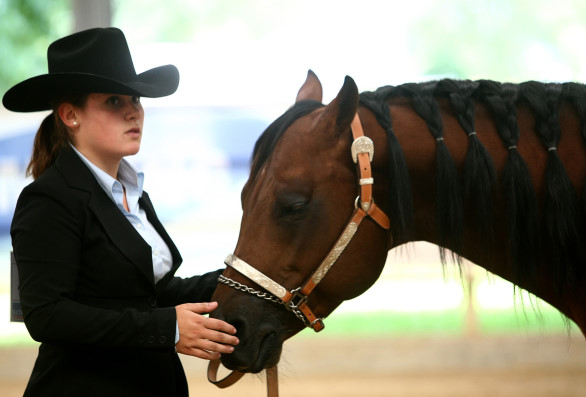 2014 01 13 HPV MelcherTahnee