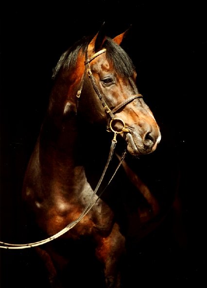 2014 01 14 Contender