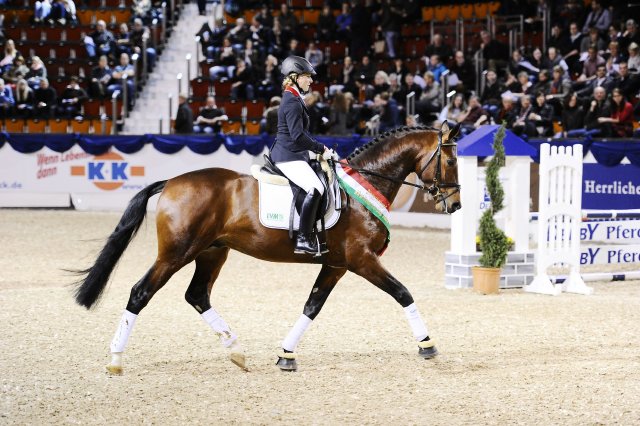 2014 01 14 Corvo Hengstgala