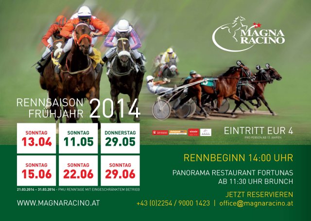 2014 01 15 MagnaRacino Plakat2014