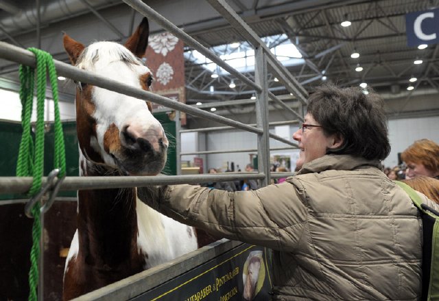 2014 01 15 Pferderecht