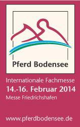 2014 01 15 SueddeutscheHengsthalter PferdBodensee