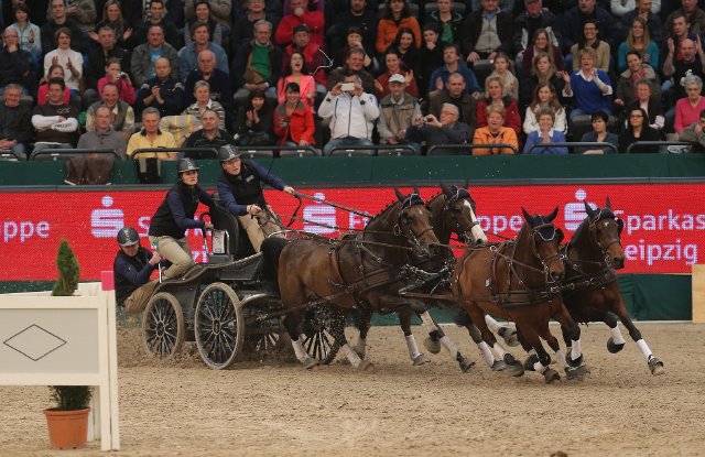 2014 01 20 Daniel Schneiders FEI World Cup Driving
