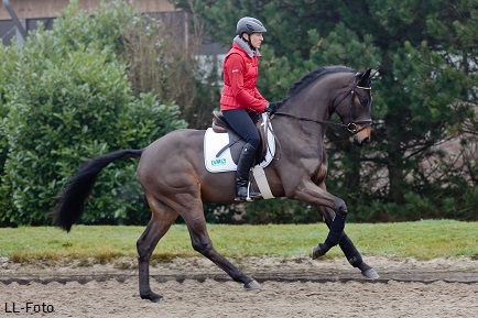 2014 02 03 KlimkeIngrid FineFellow