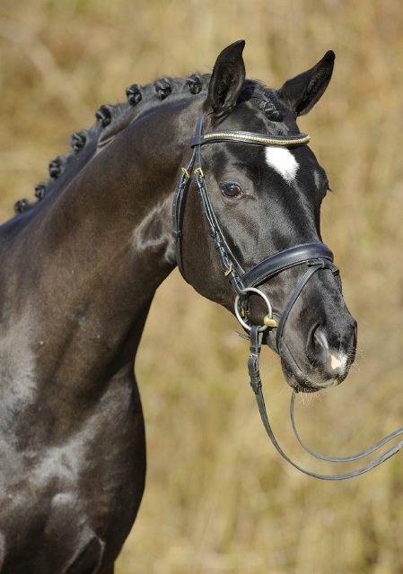 2014 02 07 Birkhof Feriado