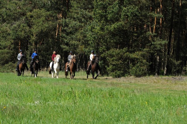 2014 02 07 Isi Wanderreiten cJesch