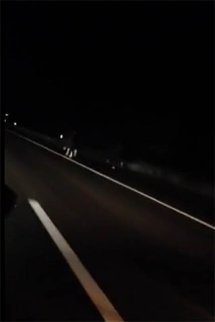 2014 02 08 PferdeAutobahn