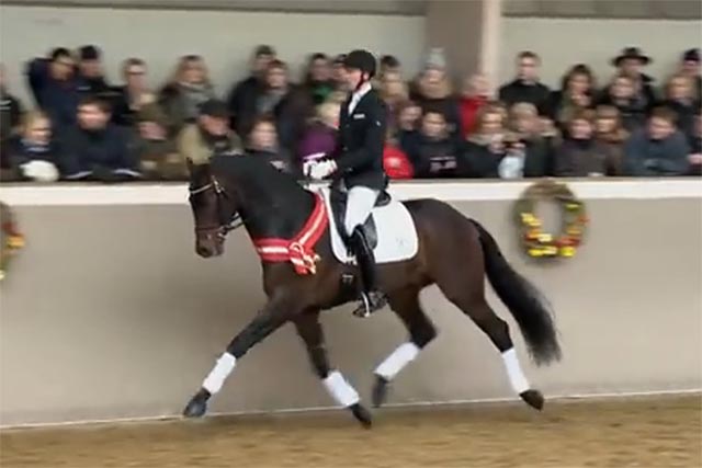 2014 02 14 ZeeMeBlue