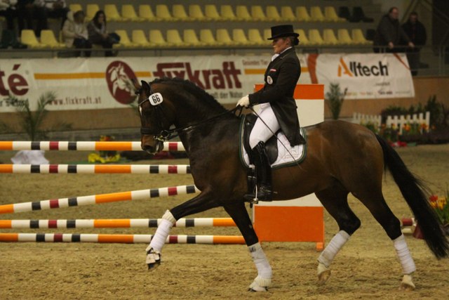 AWOE BartlgutsDuccio