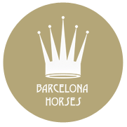 Barcelona Horses