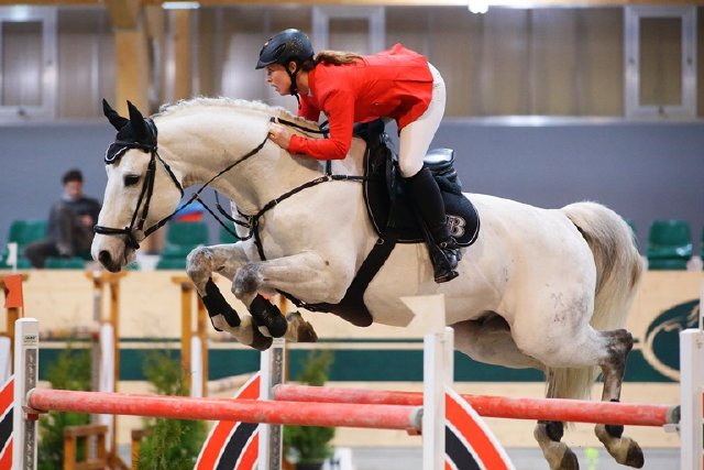 Brand Nina Calme 05 Gold 145 DO MR 0214 cLeitgeb