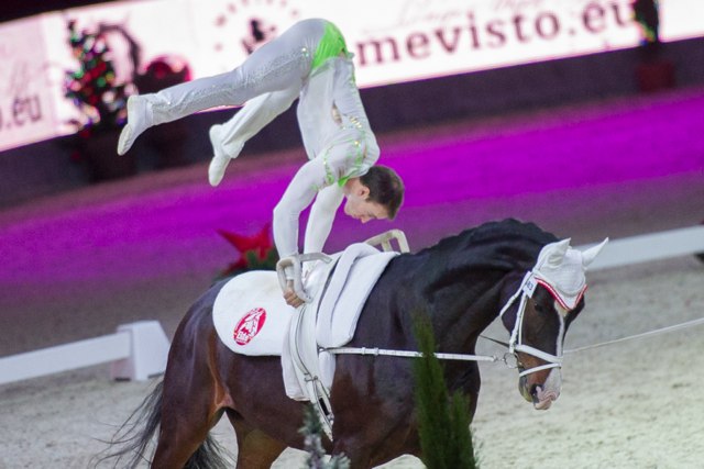 CsandlStefan 20 CVIW FEI VaultingWC 2702 cPPP Fr