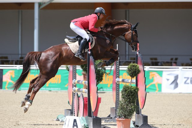 DolezalRudolf Paris 50 YH5 Sa TH