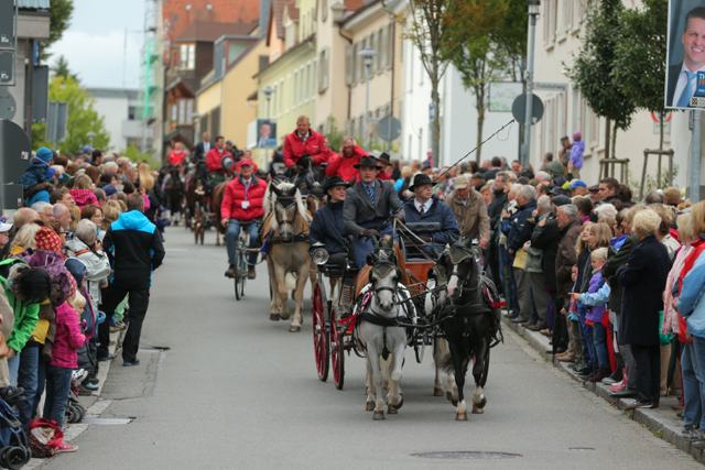 Donaueschingen Impressionen Festumzug