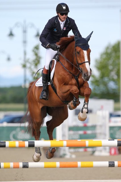 EderStefan Quax29 60 STB So TH