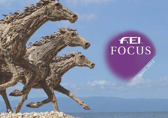 FEI Focus April 2014 cover