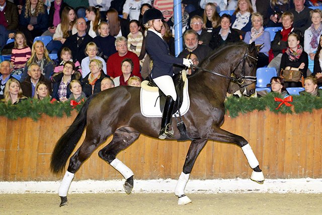 Florenz Hengstschau HofSosath