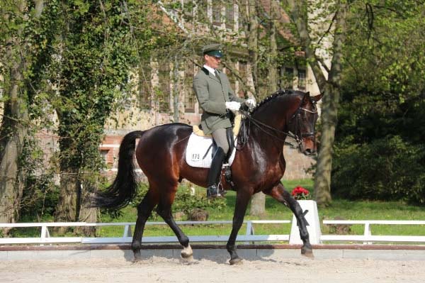 Foto Volkmann Lewitz