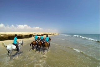 GallopsOfOman16 cChristopheBricot