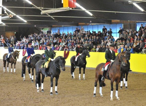 Gartulationsquadrille DeutschenLandgestueteStand cKube