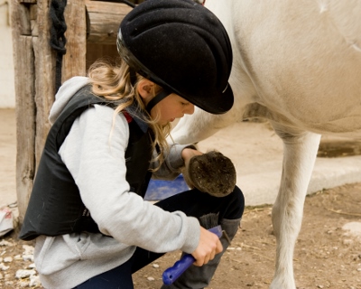 HCCG Shestakoff Fotolia.com