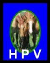 HPV