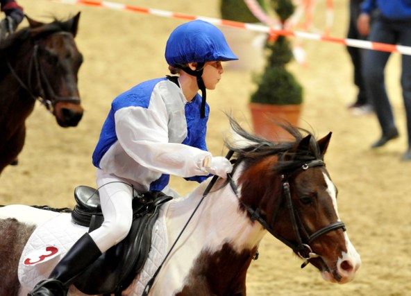 HabsburgerPonies cPPP 8685