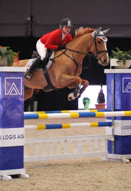 HartlRomana ChapB 01 CSIAm ST Do