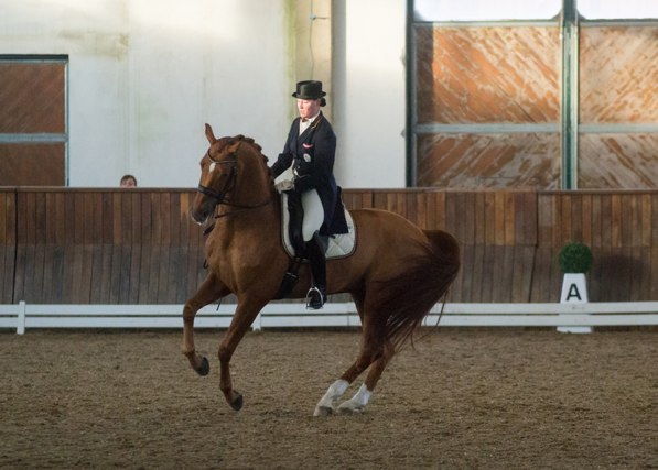 HartungAmanda Wolkenritter CDNA GP SoHo Feb14 01