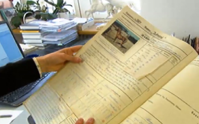 Hengstenbuch- Marbach