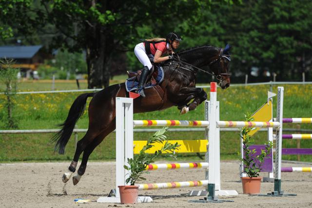 HergethAnnKathrin KattyKat Transpo