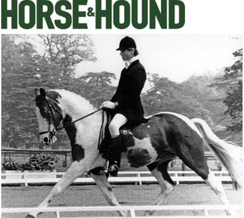 HestersCarl HorseHound