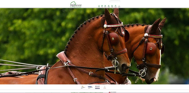 Hippoevent neue Website