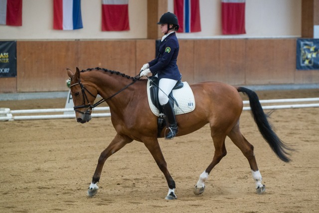 HornaMichaela Regency SVK HCHC cGraf 01