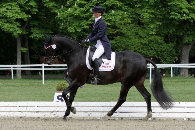 IglhauserMichaela HeraldiksHeart cHarringer