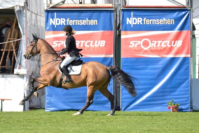 JanneFriederikeMeyer Redefin2013