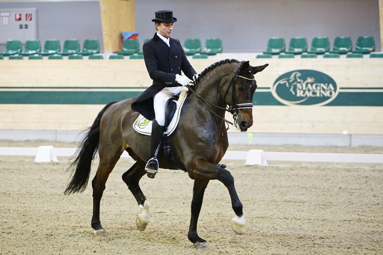 Kendlbacher Heimo Sohnlein Brillant GP Special So