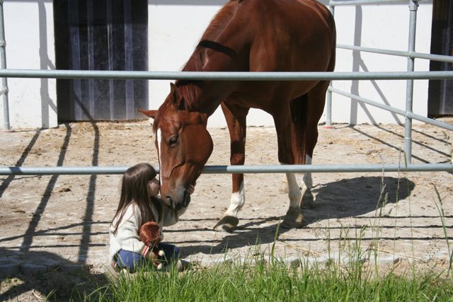 Kind Pferd Paddock FEBS