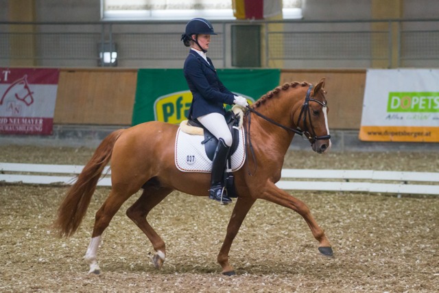 KoenigCeline DaddysDaydream CDIP StadlPaura cGraf 01