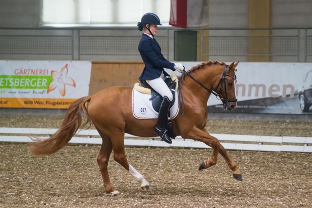 KoenigCeline DaddysDaydream CDIP StadlPaura cGraf 02