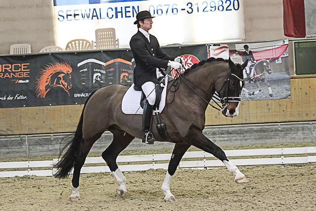 KroneggerWolf FrechdachsK CDNB StadlPaura Feb14