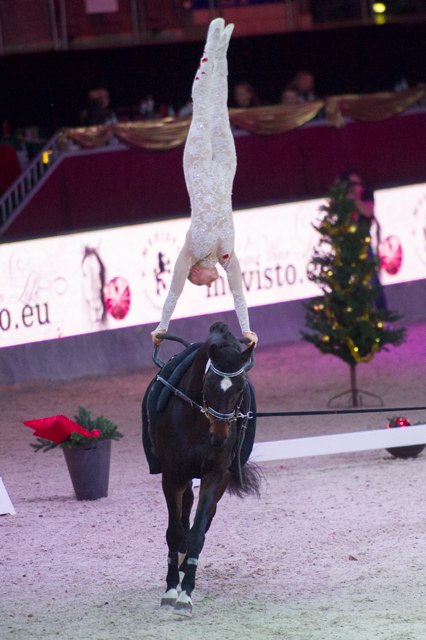 KuntnerSabine 19 CVIW FEI VaultingWC 2516 cPPP Fr