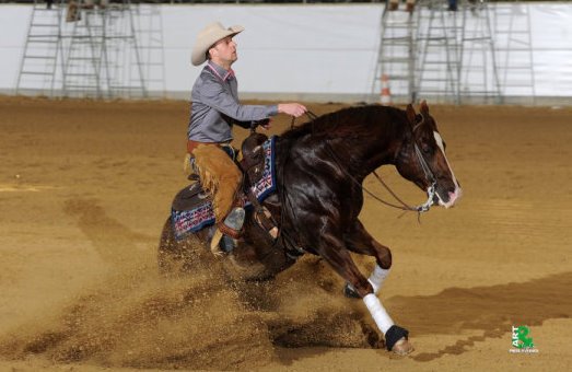 LQH custom-del-cielo
