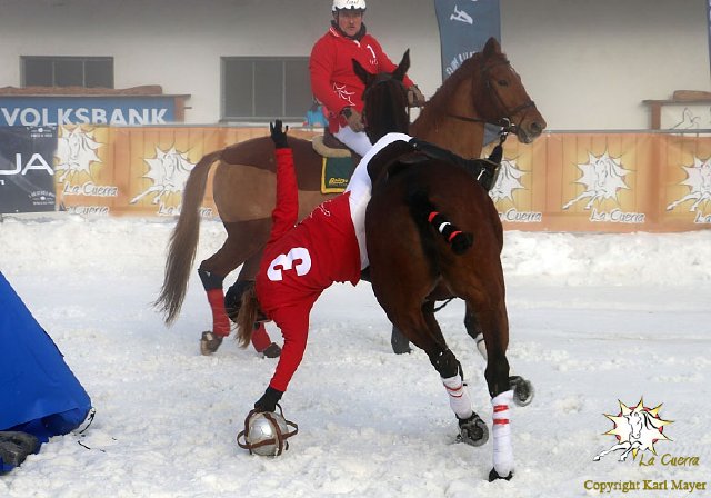 LaCuerra SnowPolo 2