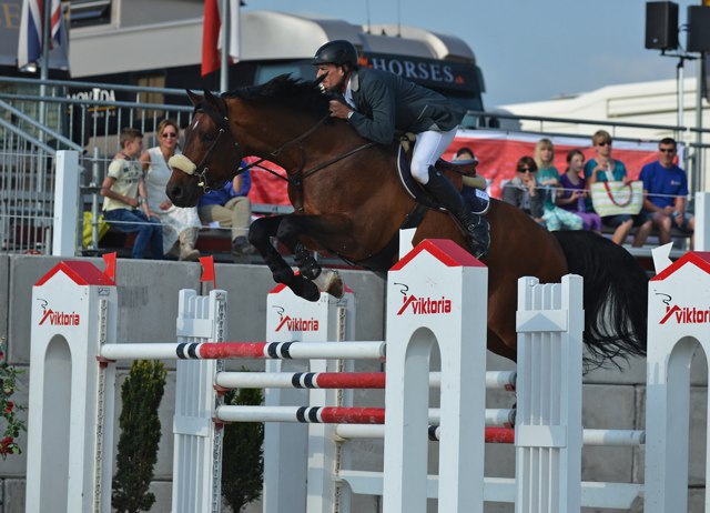 LeikermoserStefan AuheimsCosmoBrown 23 Silver Sa 2