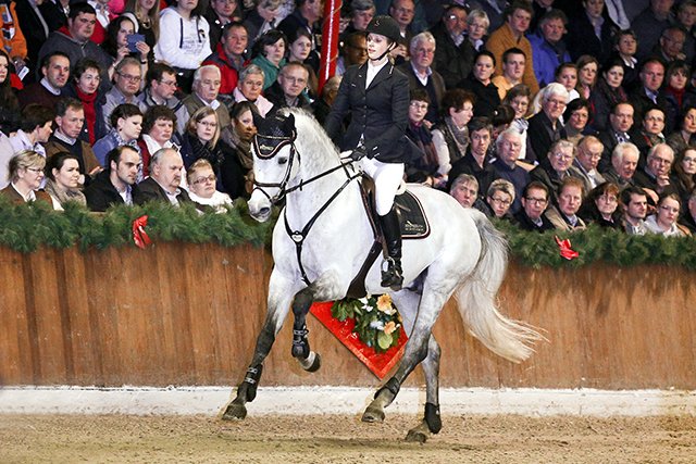 Levisonn Hengstschau HofSosath