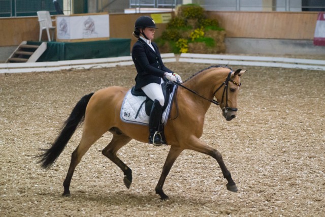 LinsenhoffLiselottMarie Massimiliano3 GER CDIP StadlPaura cGraf 01