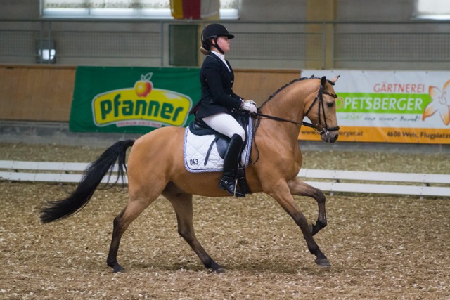 LinsenhoffLiselottMarie Massimiliano3 GER CDIP StadlPaura cGraf 02