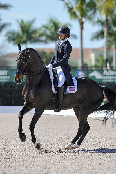 LyleAdrienne Wizard 2002 cStickle